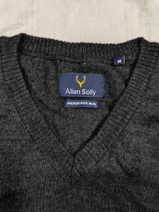 Allen Solly Gray V-neck Sweater