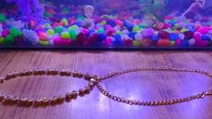 Very Preety Golden Waist Chain