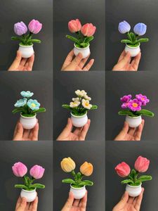 Handcrafted Potted Pipe Cleaner Flowers