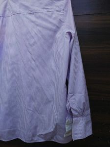 purple striped shirt