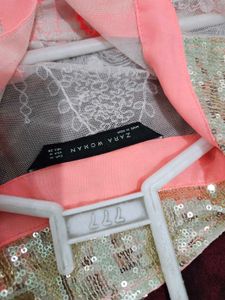 Zara Sheer Embroidered Shirt