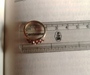 Golden Rings~