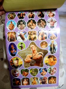 WWE Stickers Book