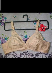 Bra and Stole