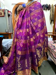 Purple And Pink Saree