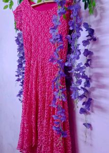 All Over Net Embroiderd Dress