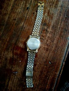 Timax Vista Watch