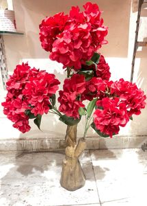 Red Plant
