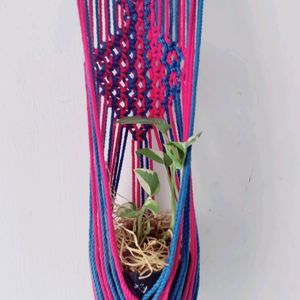 Macrame Plant Hanging