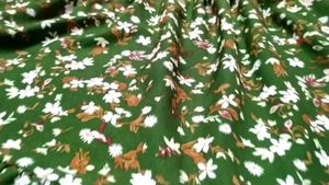 Vintage Floral Print Boho Casual Dress