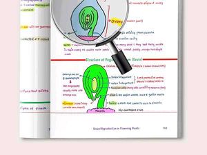 MED EASY VIPIN SHARMA PHYSICS WALLAH