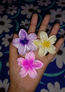 Trending Floral Design Hair Claw