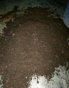 Home Made Compost For Plants