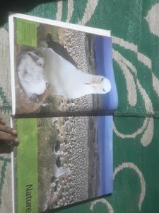 The Visual Encyclopedia Everything.. Book