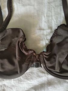 Beautiful Brown Under Wire Pushup Bra