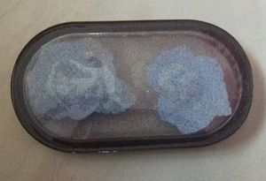 Floral Resin Tray