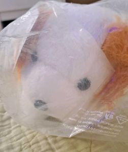 Dog Plushie Brand New