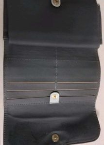 Cyan baggit Clutch