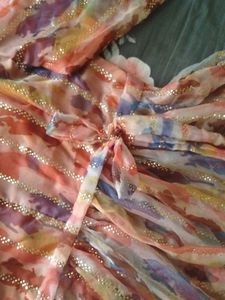 Sheer Floral Mini Dress