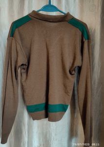 Vintage Brown &amp; Green Polo