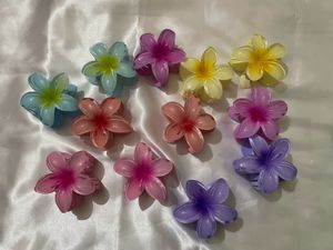Hair Clip
