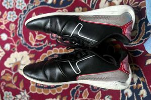 PUMA Scuderia ferrari Drift Cat