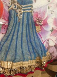 Embroidered Lehenga Choli