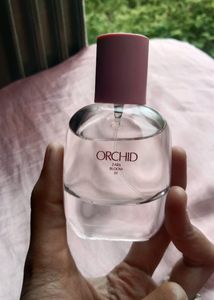 ZARA ORCHID BLOOM 01