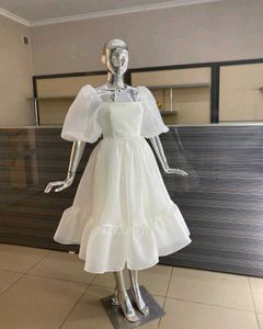 Dress Material Frock One Piece Organza Fabric