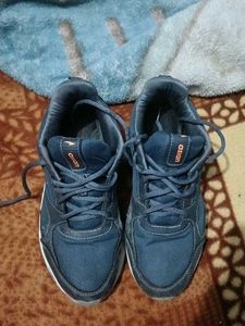 Asian Sports Shoes