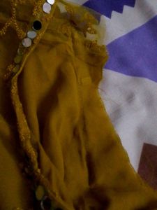 Mirror Mustard Work Gown