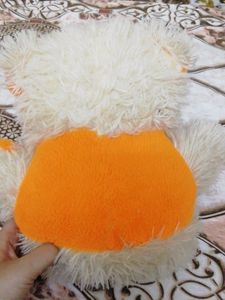 Teddy Bear Soft Toy