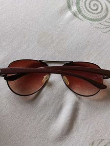 Brown Sunglasses