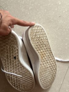 Adidas Sneakers