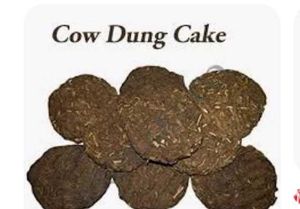 Cow Dung Upla