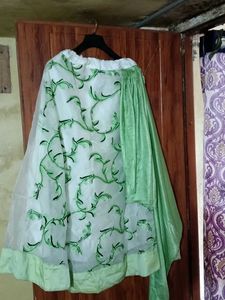 crop top with attached chunni