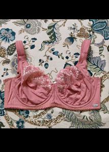 New Enamor Bra Full Supported Nd Underwired