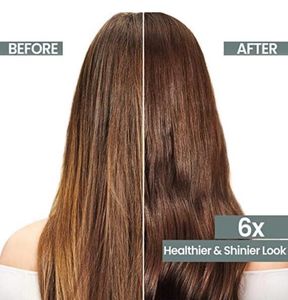 Seal Pack : Argatin Shampoo and Conditioner
