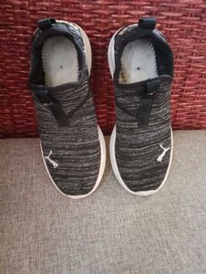 Authentic Puma Shoe