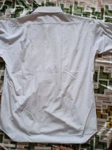 White Shirt