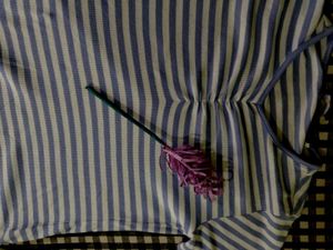 A Lavender Top