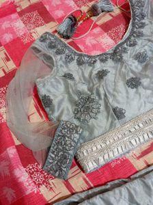 Embroidered Lehenga Choli