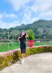 Elegant Black Lace Dress