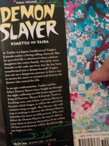 Demon Slayer Vol. 23