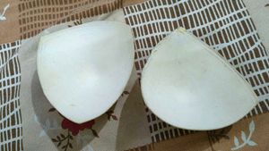 Nude Bra Cups - Free Size
