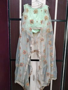 Elegant Mint Green Lehenga Choli