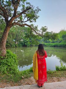 Anubhuti Branded Red N Yellow Party Wear Suit