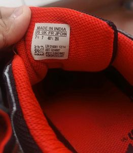 Adidas Hiking and Trekking Shoe