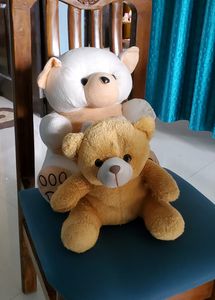 Soft Toys Combo Big And Small Teddy