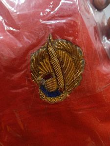 Madwadi Zari Work Red Georgette Chunri Duppata